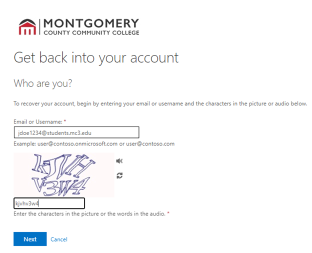 The email entry field with a captcha below it.