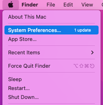 Sytem preferences in Apple menu.