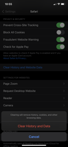 screenshot of the clear browsing data screen within ios safari