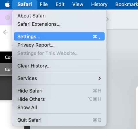 screenshot of settings screen within safari on mac