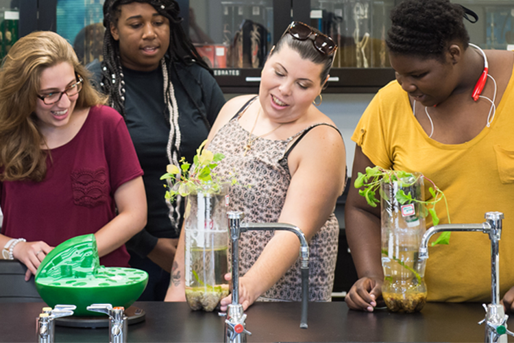 Four female students gatherd around a science lab table