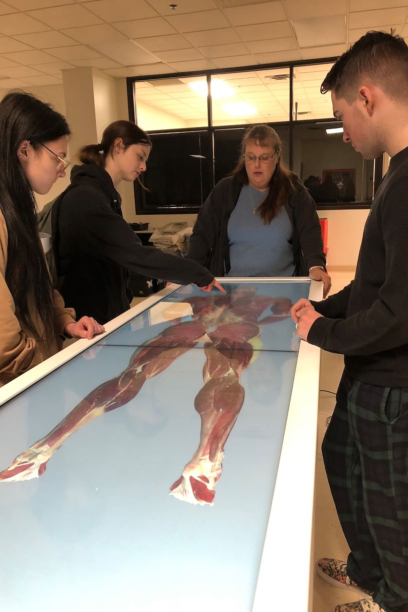 Students interacting with Anatomage Table