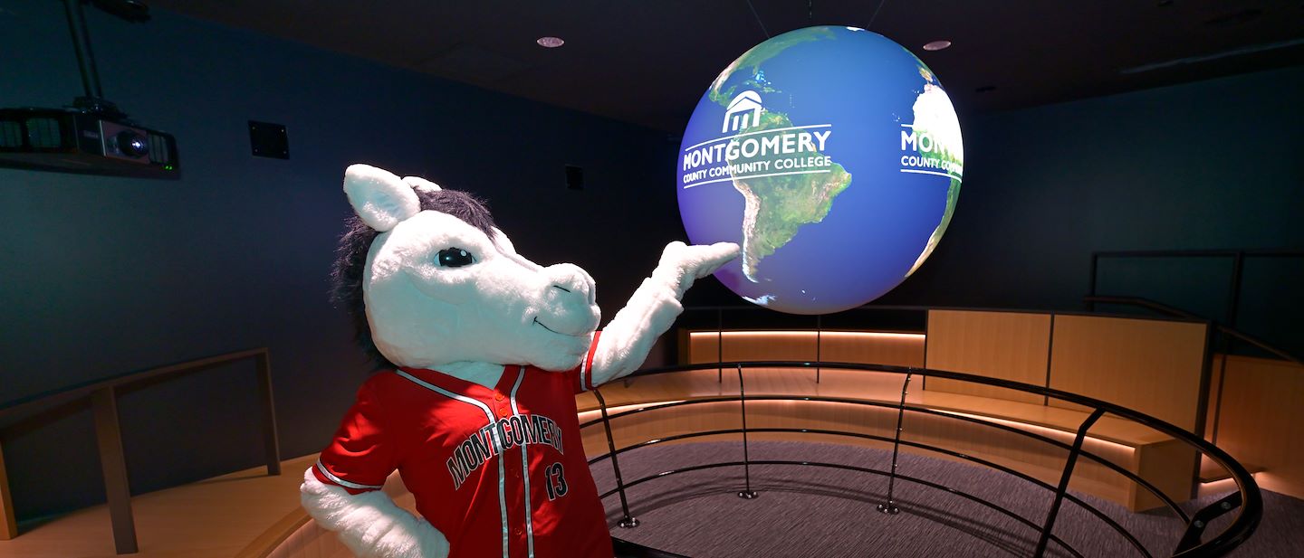 Have the Rumble Ponies mascot, Rowdy, at your next community event
