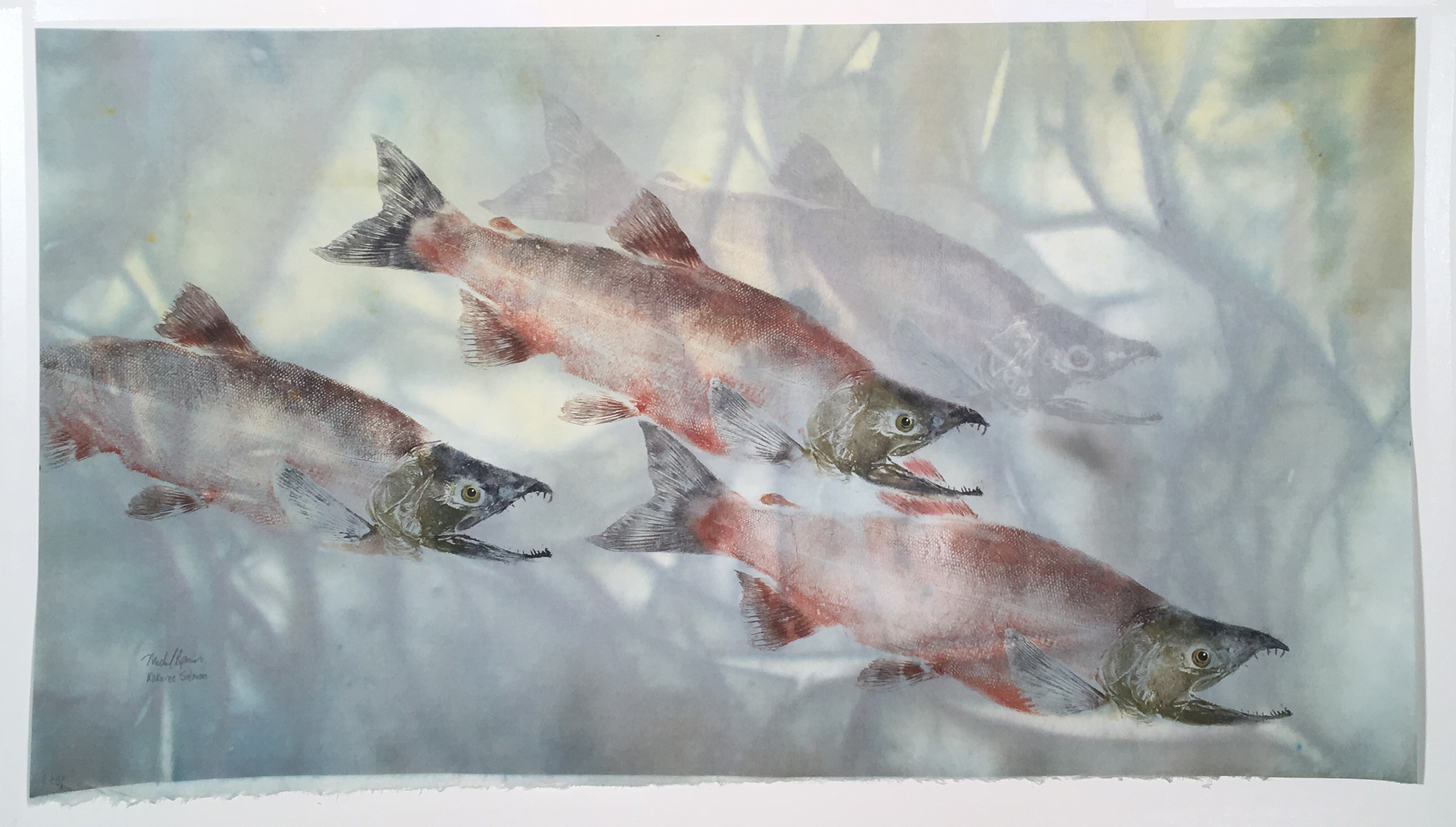 Artwork of salmon by Michael Relmer