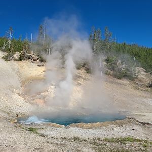 Hotspring at Yellowstone National Park.